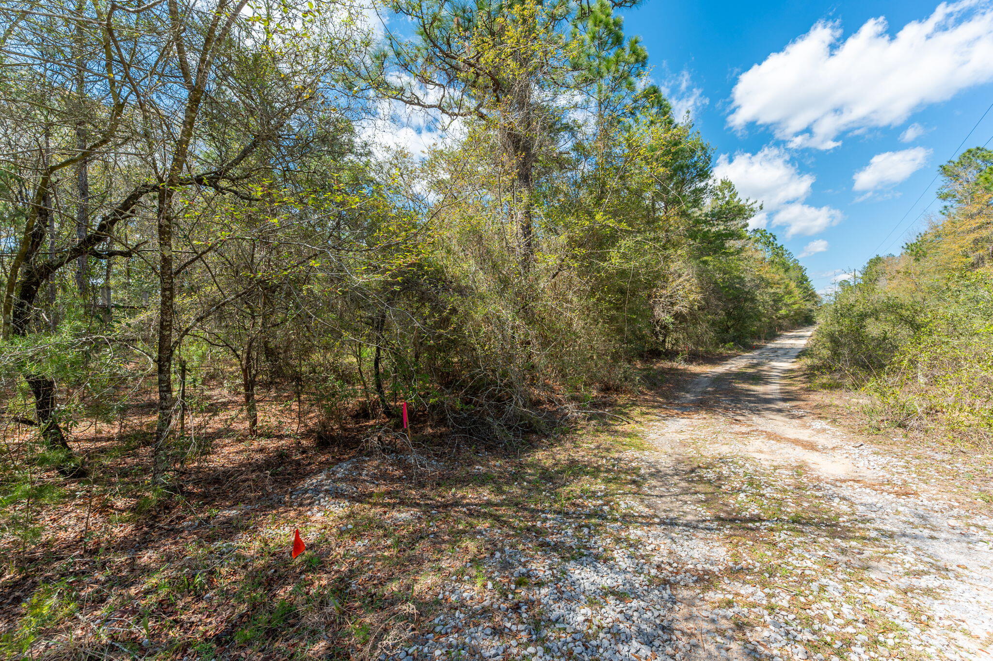 METES & BOUNDS - Land