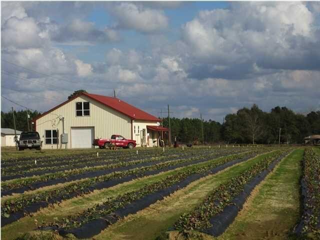 Turn-Key Agritourism opportunity just West of Downtown Baker! Here is your chance to own Akers of Strawberries U-Pick Farm or turn this unique, well-known property into something of your own. This 18.24 +/- acre property (10 acres irrigated) offers you the chance to own your own business and have your home (or a wedding venue) with a swimming pool all on the same property. The commercial building at the strawberry farm has clean cotton insulation, warehouse, bakery, yogurt shop, community farmer's market, two fully accessible restrooms compliant with USDA and commercial standards, produce room with humidifier, commercial walk-in cooler & freezer, pea sheller, storage, and a 600 SF separate entry office upstairs with kitchen and bathroom. SEE MORE...