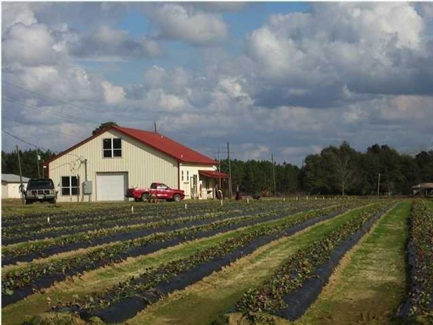 Turn-Key Agritourism opportunity just West of Downtown Baker! Here is your chance to own Akers of Strawberries U-Pick Farm or turn this unique, well-known property into something of your own. This 18.24 +/- acre property (10 acres irrigated) offers you the chance to own your own business and have your home (or a wedding venue) with a swimming pool all on the same property. The commercial building at the strawberry farm has clean cotton insulation, warehouse, bakery, yogurt shop, community farmer's market, two fully accessible restrooms compliant with USDA and commercial standards, produce room with humidifier, commercial walk-in cooler & freezer, pea sheller, storage, and a 600 SF separate entry office upstairs with kitchen and bathroom.   SEE MORE...