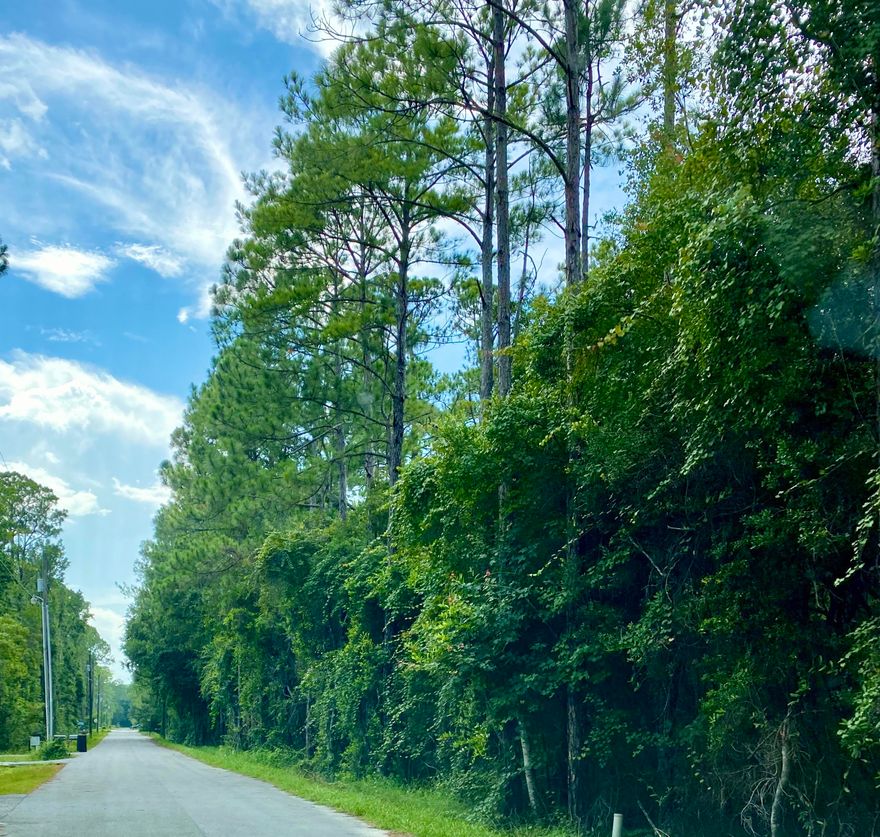 Amazing opportunity to build your Florida cottage in desired Point Washington's Magnolia Beach. This lot is located just a few blocks to the Bay with access nearby. Offering a laid back lifestyle, with privacy, hiking, kayaking and getting back to nature all within miles to the beautiful beaches of South Walton.The seller has completed the time consuming permitting process with DEP and The Corp of Engineers (documents available ) for an easy transition for the buyer anxious to get started on a personal home. So much value in time and money passing on to the buyer of this premium homesite. Call today for more details.