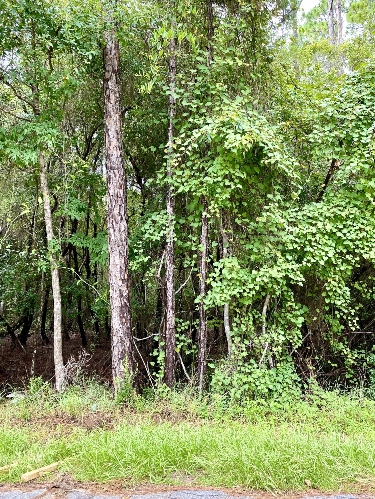 MAGNOLIA BEACH - Land