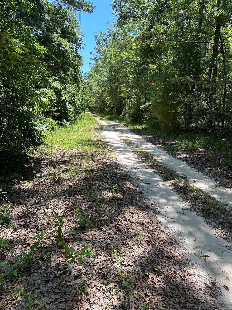 Imagine owning almost 3 acres just south of I-10 in Ponce De Leon and north of Highway 20 in Bruce in beautiful Walton County! Only minutes away from Morrison Springs, Vortex Springs and Ponce De Leon Springs State Park. A short distance to the Beaches of South Walton, De Funiak Springs, Bonifay and Panama City/Beaches. Eglin AFB, Panama City Beach Airport (ECP) and Destin-Fort Walton Beach Airport (VPS) are nearby. Entire property is Zone ''X'' (No wetlands) with over 650 feet on Highway 81. New double gated security gate installed. Power poles available. Build your dream home on this unspoiled gem so close to some of Northwest Florida's most beautiful natural springs.