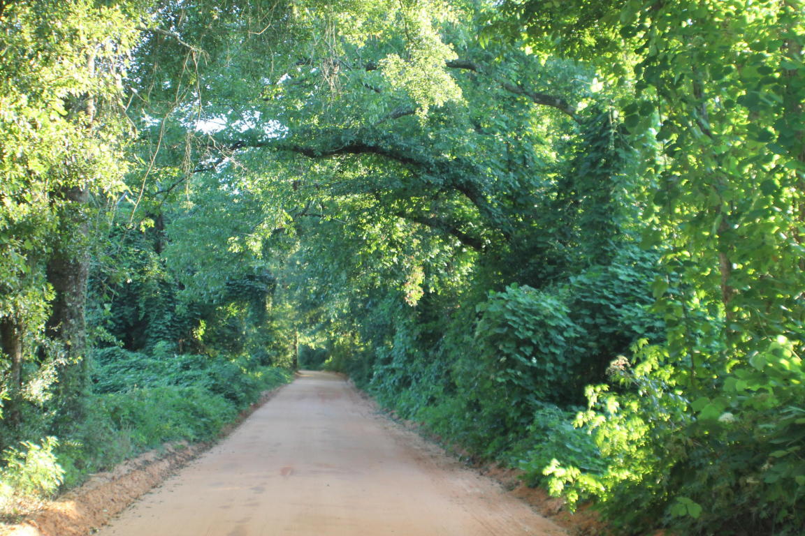 Beautiful Home site/Farm! Location Prime Baker! The beautiful farm site has Huge Red-Oaks, lots of road frontage, some cleared pasture/row crop area. Lots of deer and turkey in the area ! Bring your tractor,horses, floor plans and your barn!
