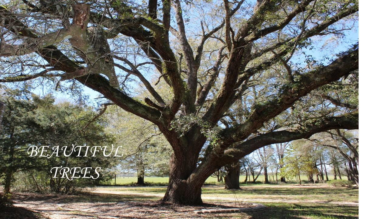 METES & BOUNDS - Residential