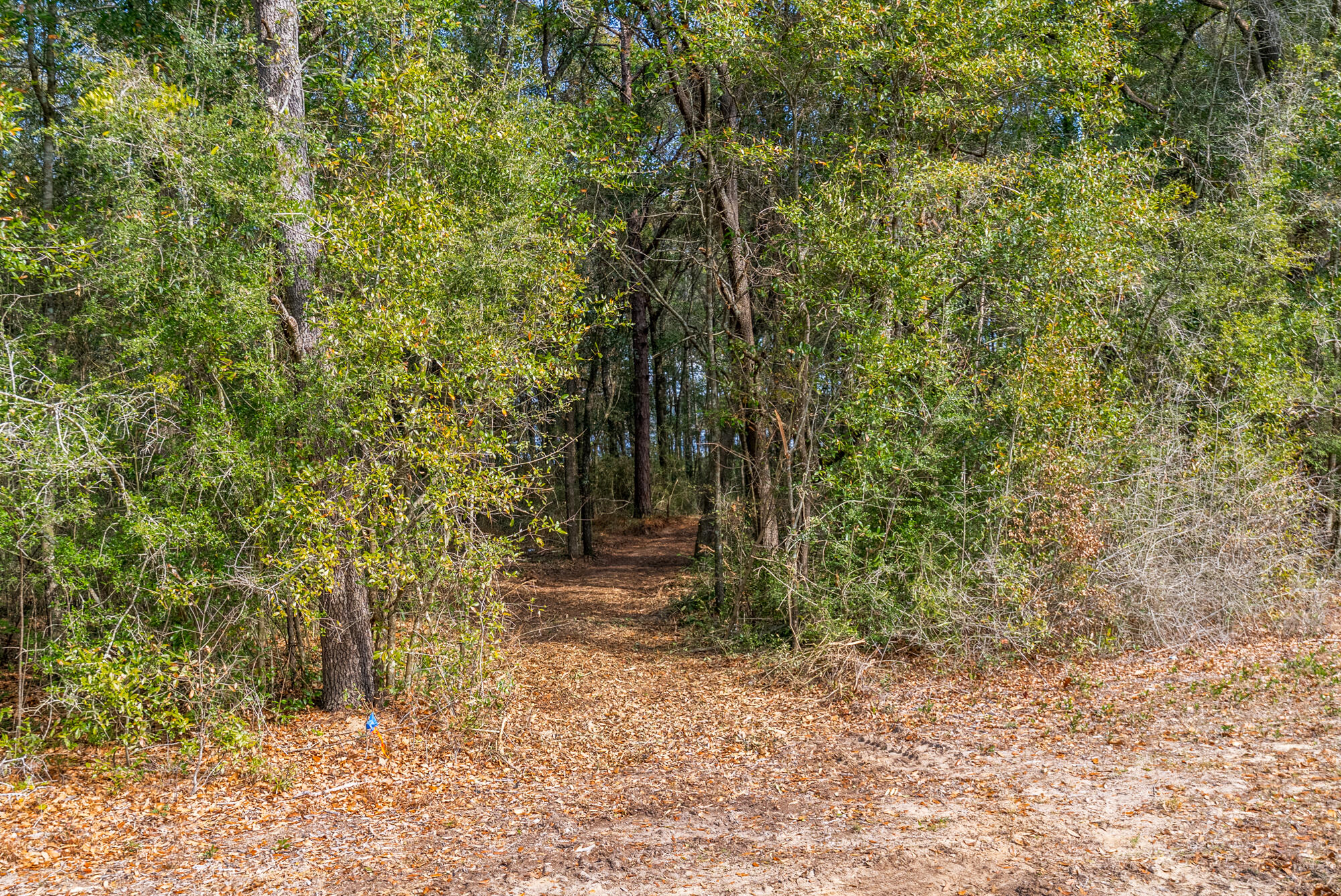 Holley Family Property PH 2 - Land