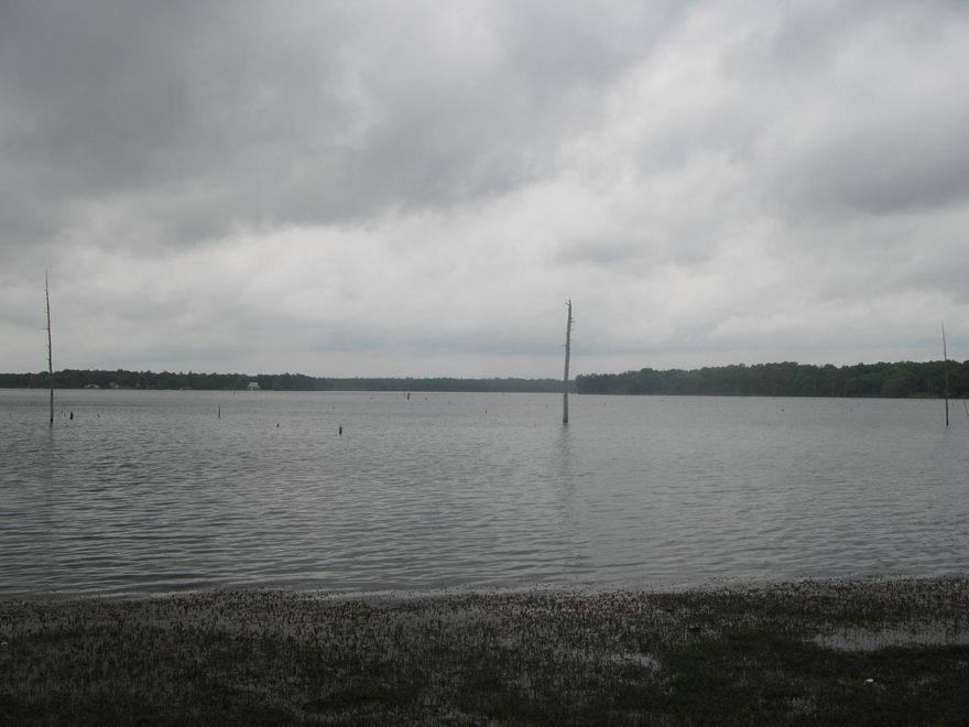 Absolutely stunning lake front acreage on beautiful Lake Juniper. Lake Juniper is a 665 acre lake with 2 public boat ramps and managed by Florida Fish and Wildlife. Property is wooded with approx. 690 feet on the lake. Over 1,470 of paved road frontage. Property has a gate and woods road leads down to the water. Has large pines, oaks, and magnolia trees. Zoning is Urban Residential.