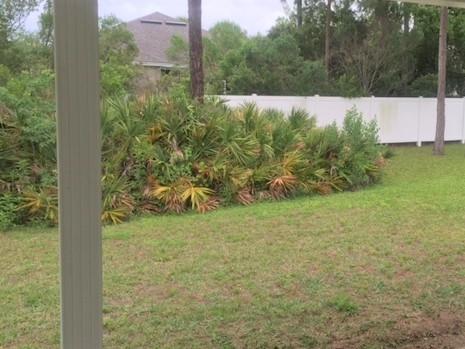 Palmetto Trace - Residential