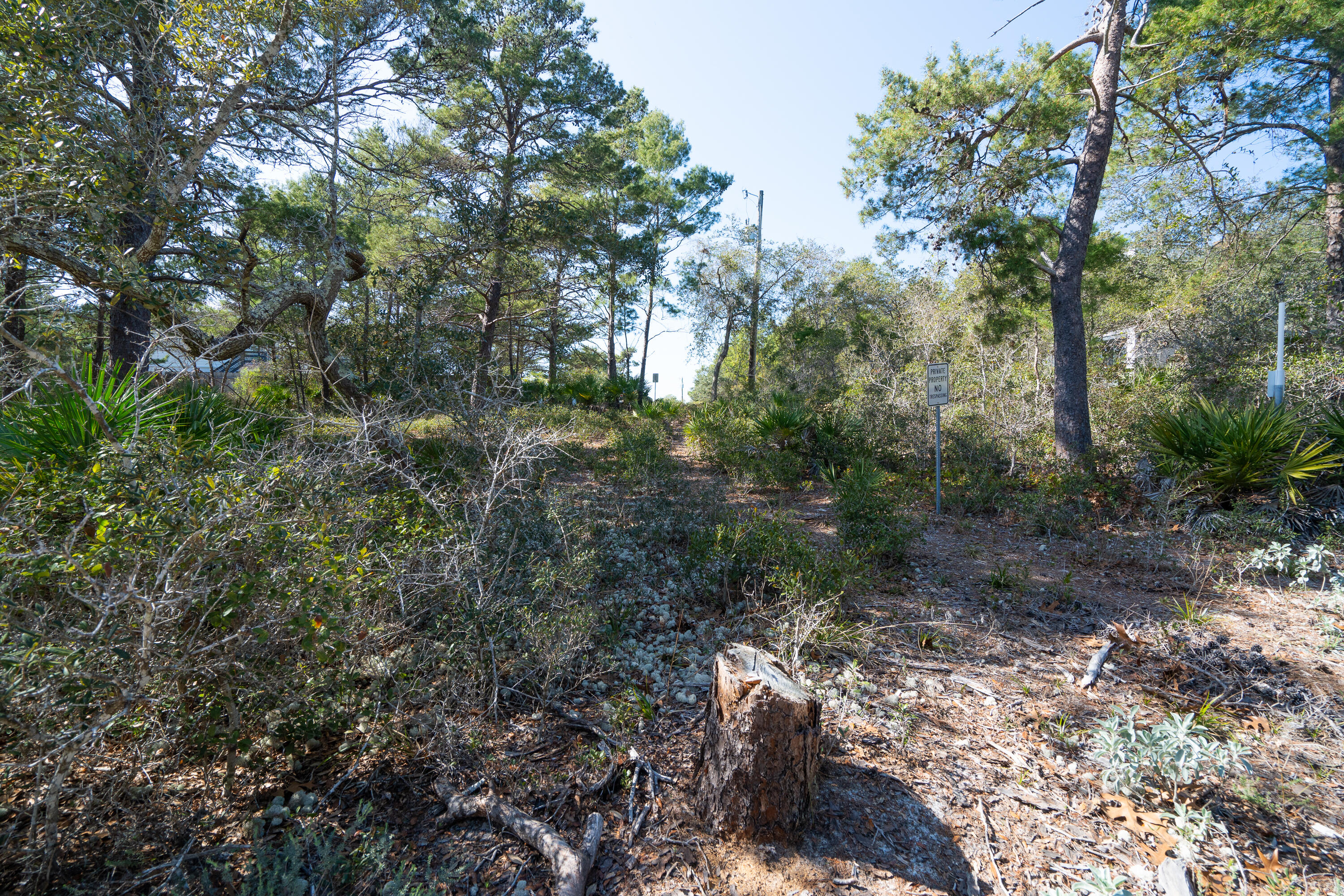 PINES OF BLUE MOUNTAIN - Land