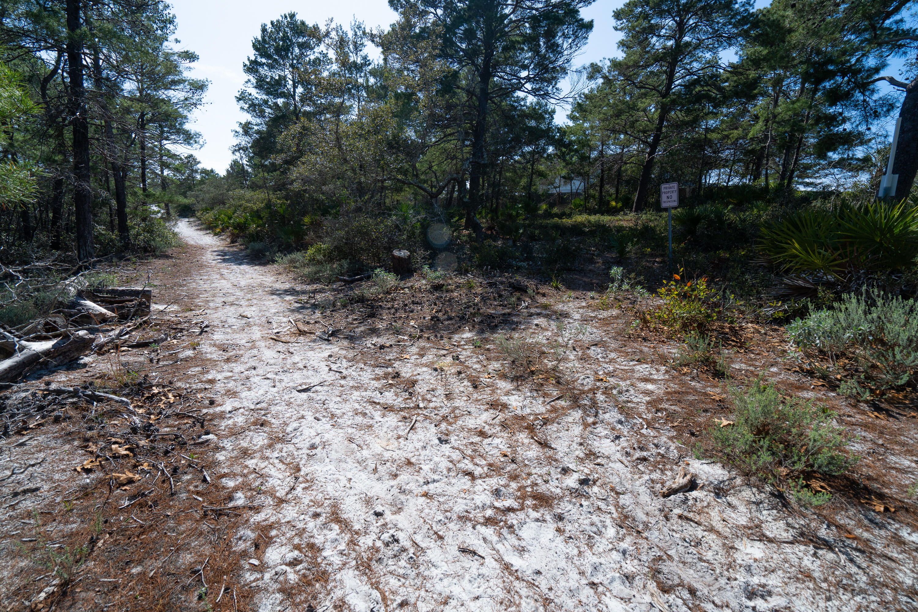 PINES OF BLUE MOUNTAIN - Land