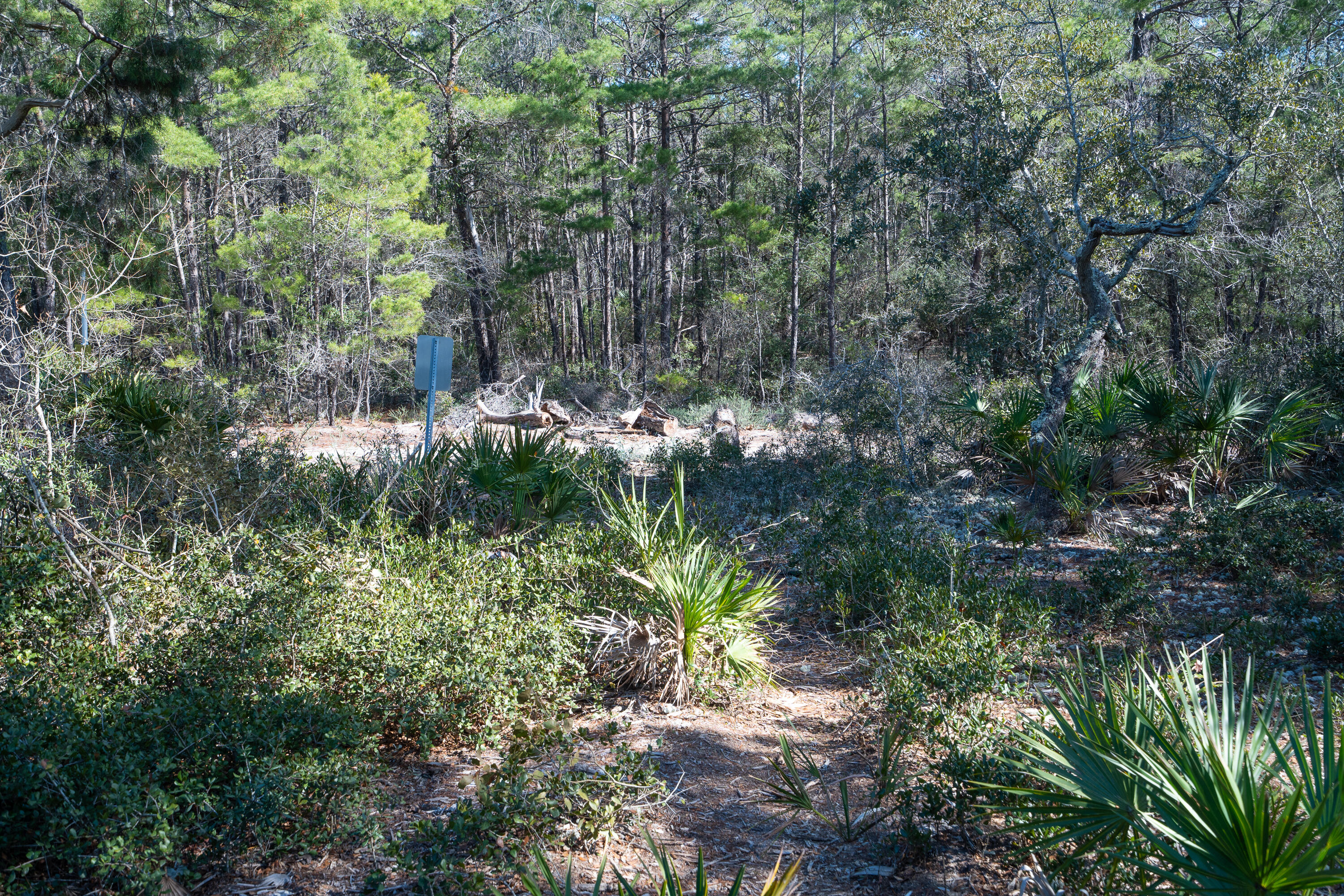 PINES OF BLUE MOUNTAIN - Land