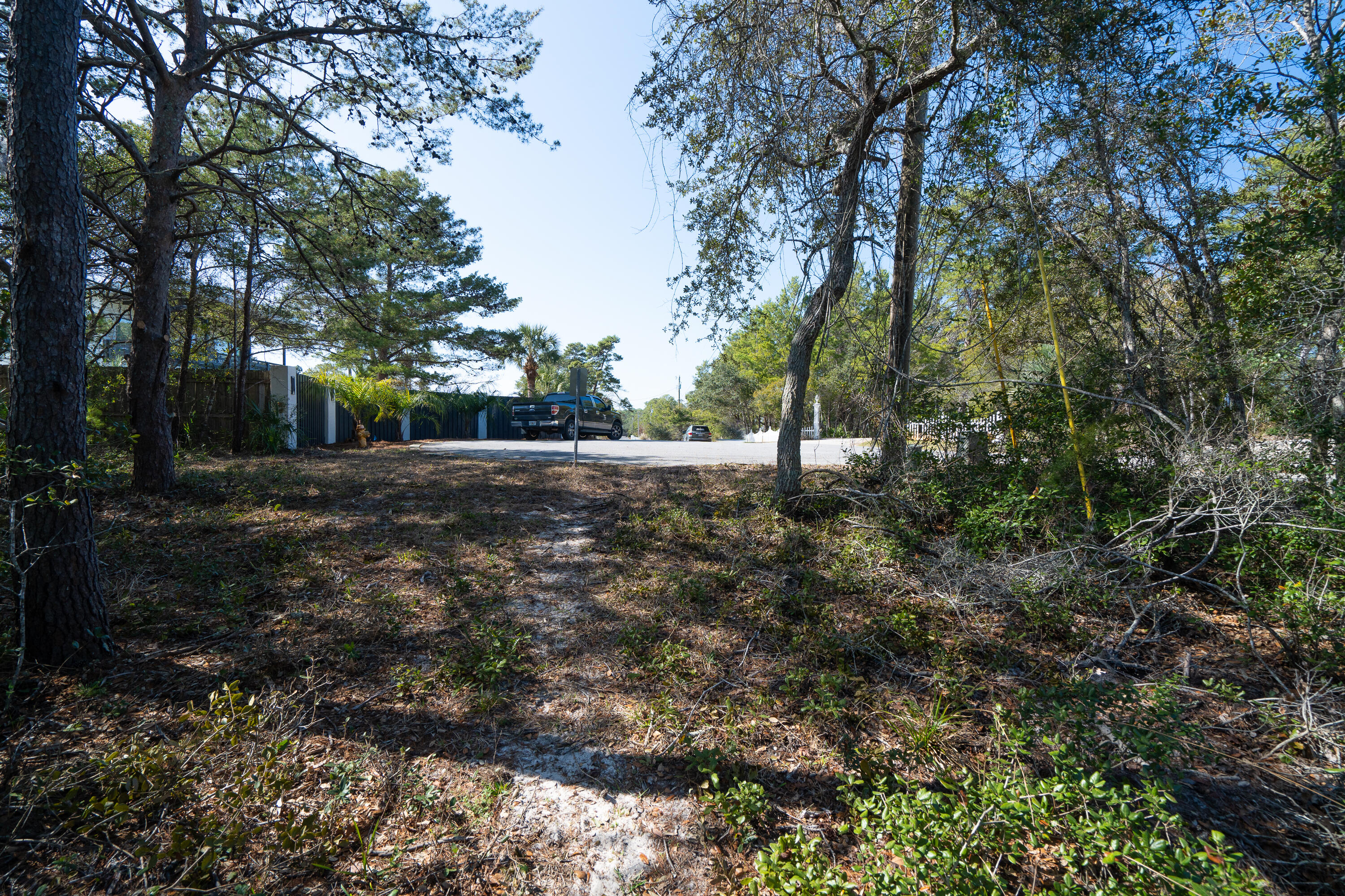 PINES OF BLUE MOUNTAIN - Land