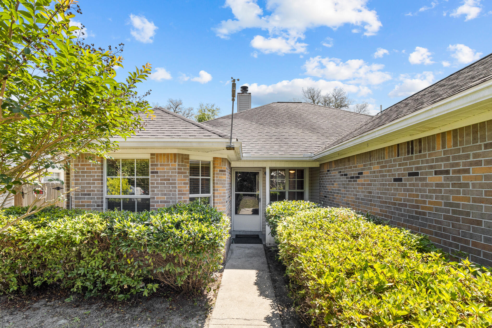 SUMMER TREE - Residential