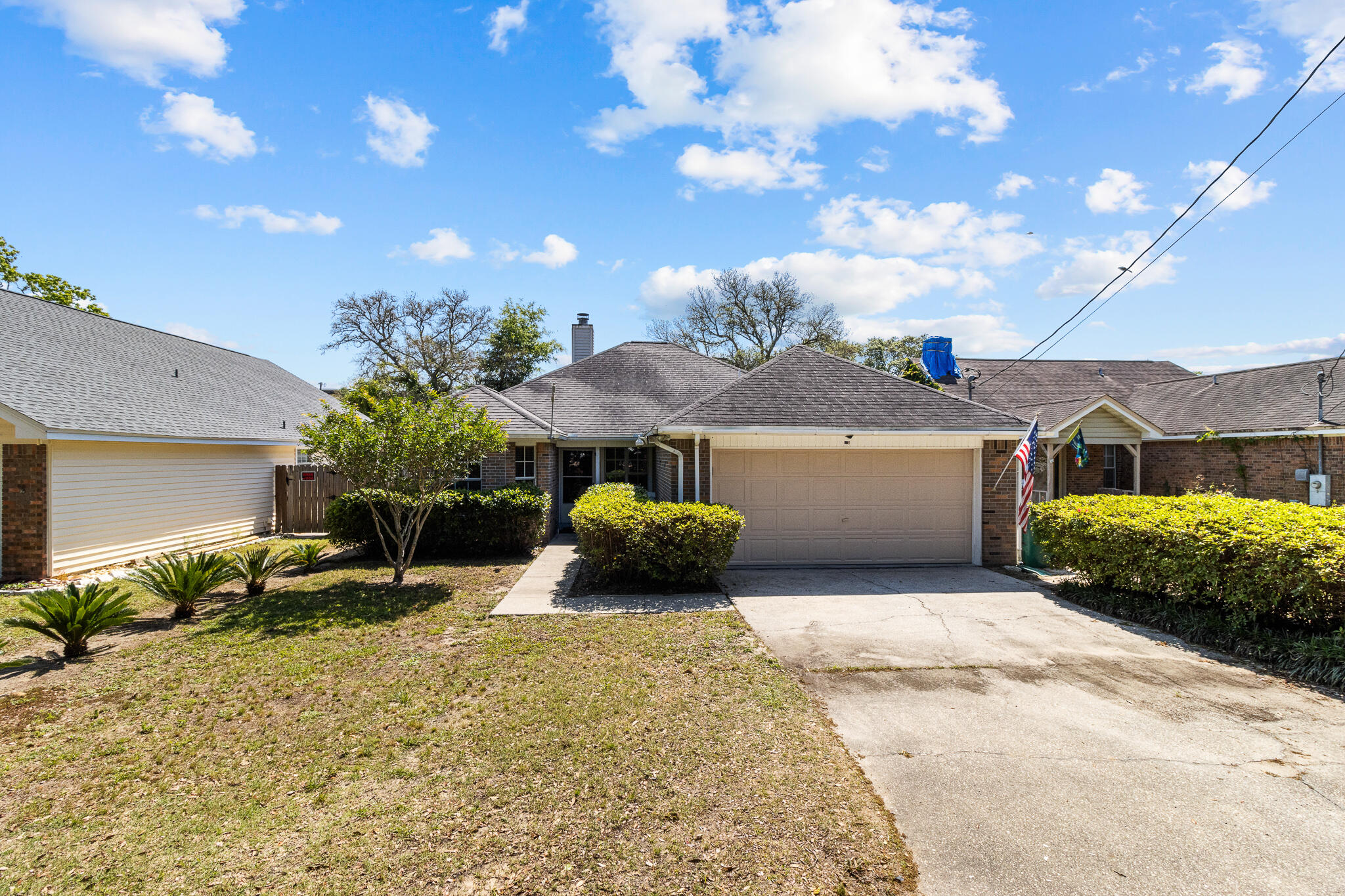 SUMMER TREE - Residential
