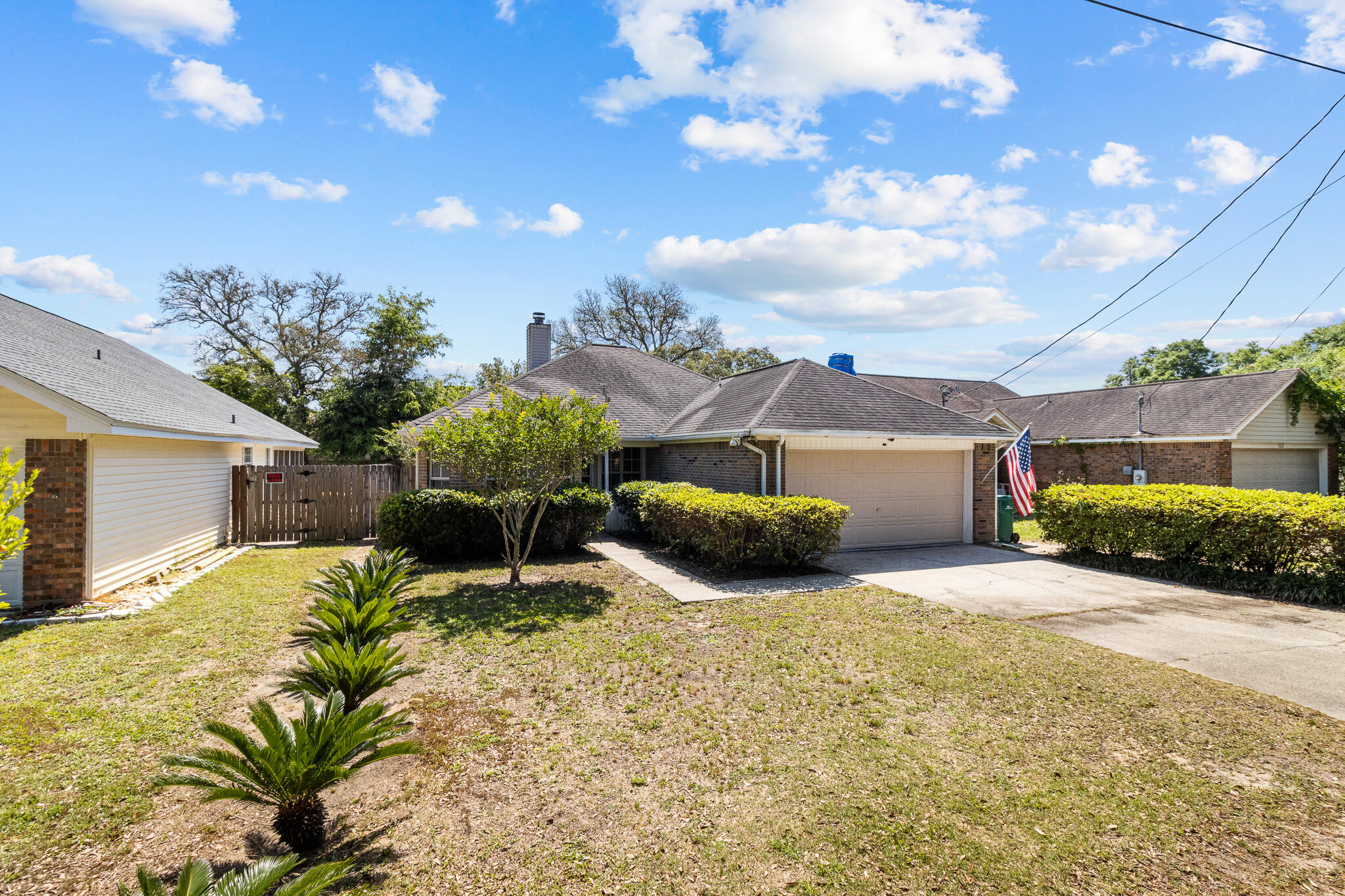 SUMMER TREE - Residential