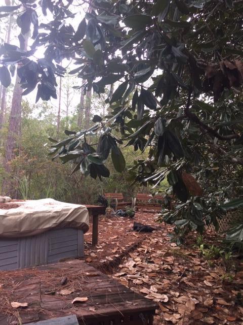 THE WOODS - Residential