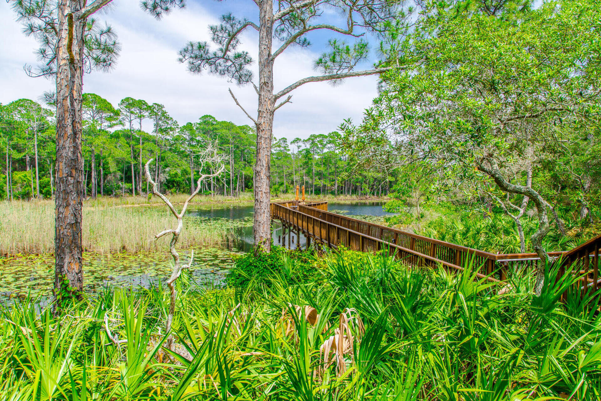 REDFISH VILLAGE - Residential