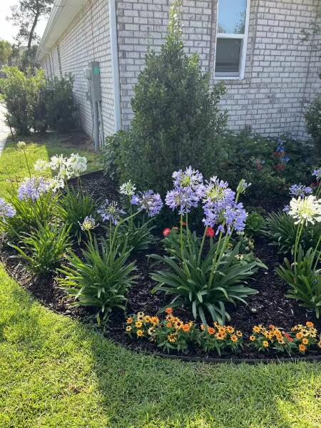 WINDSWEPT ESTATES - Residential