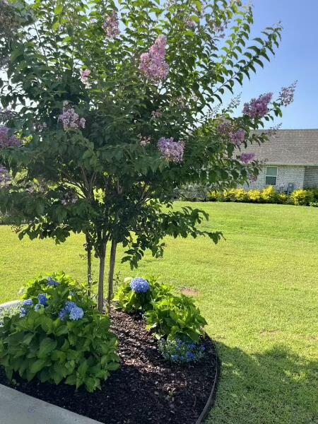 WINDSWEPT ESTATES - Residential