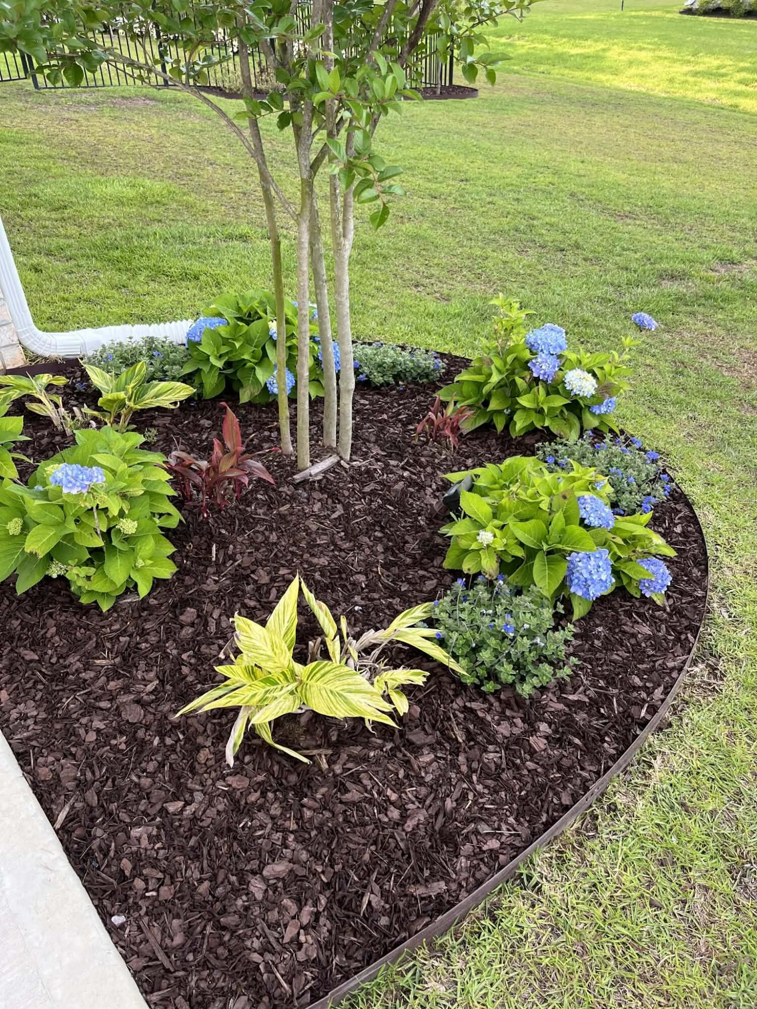 WINDSWEPT ESTATES - Residential