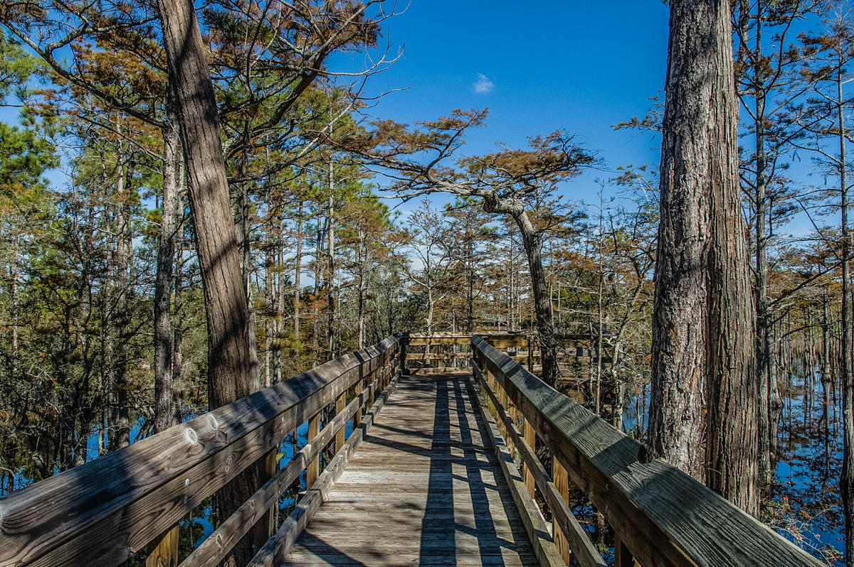 CYPRESS DUNES - Land