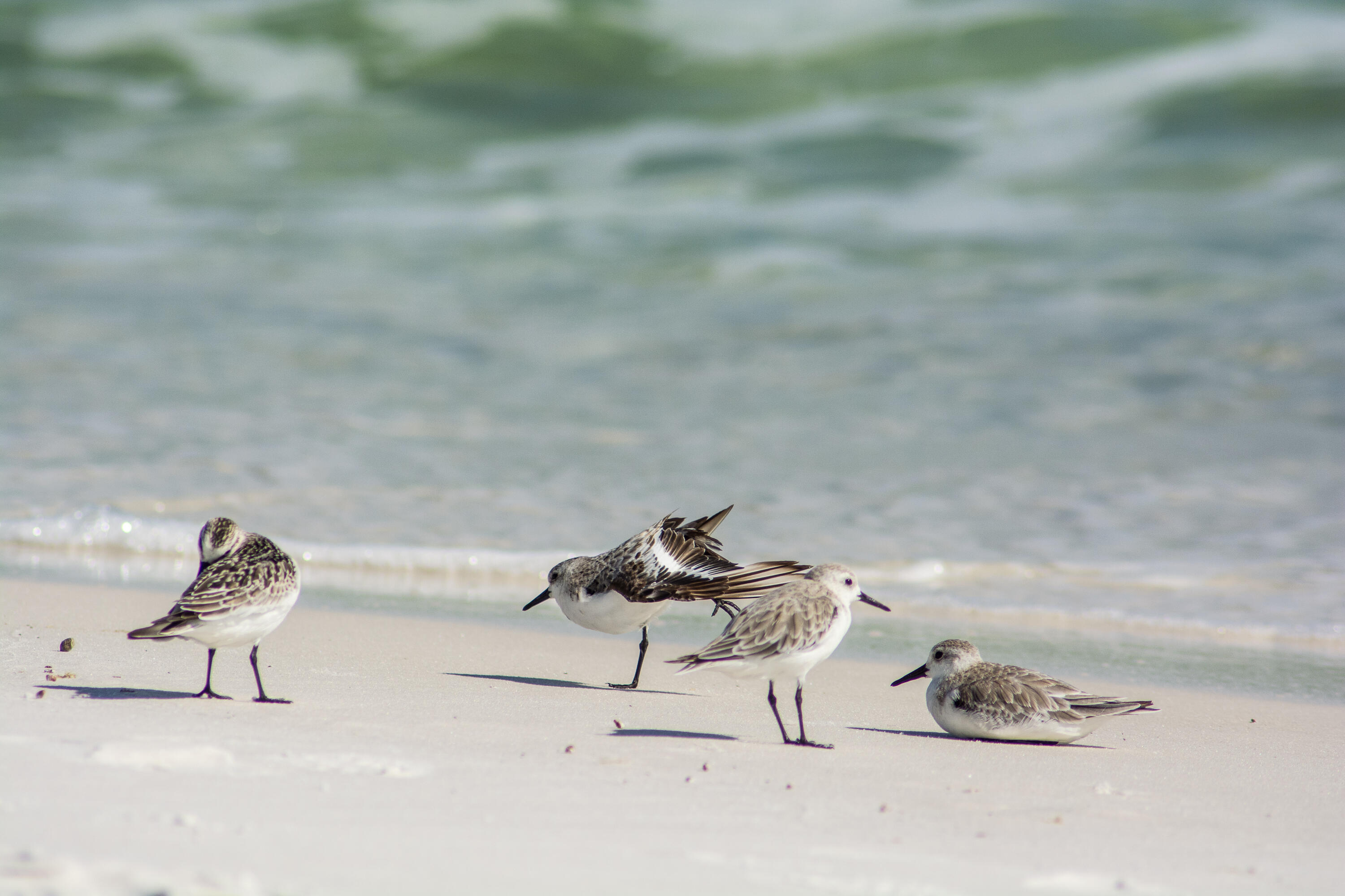 Highland Parks - Residential