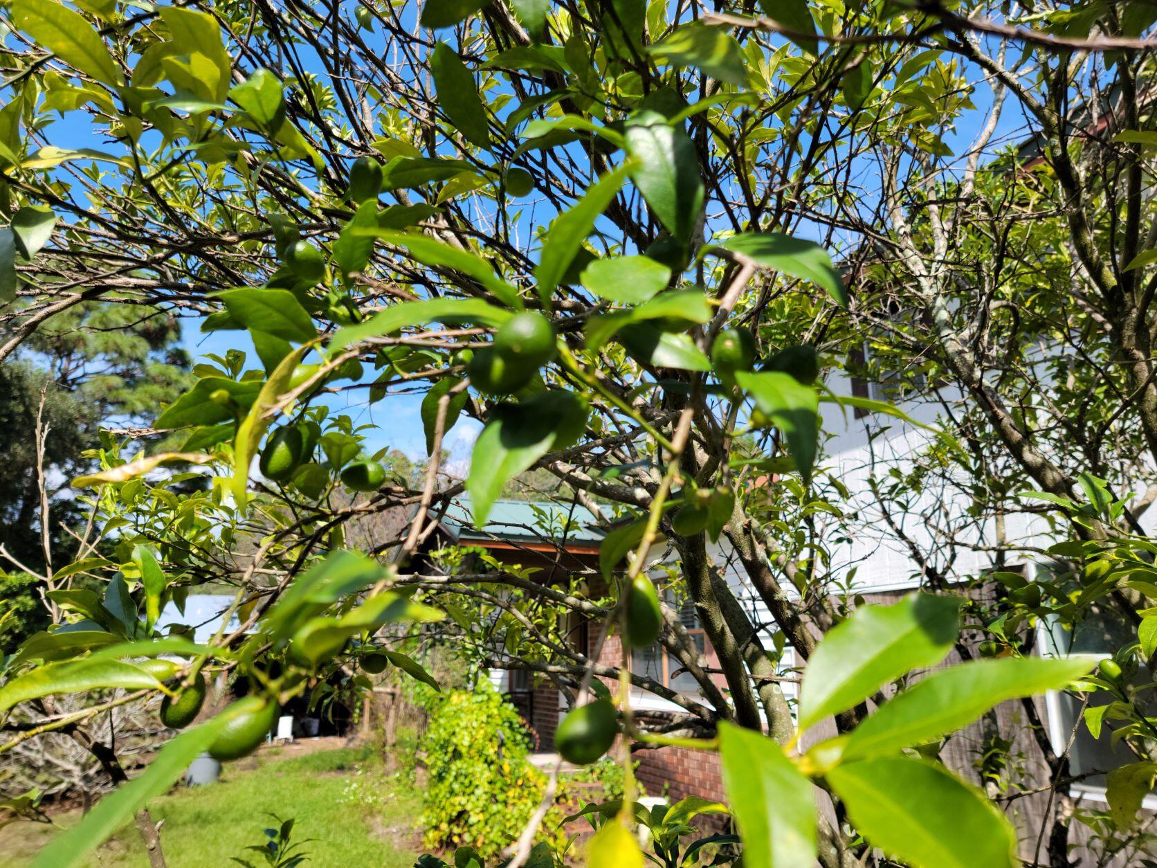 VILLA TASSO TOWN OF - Residential