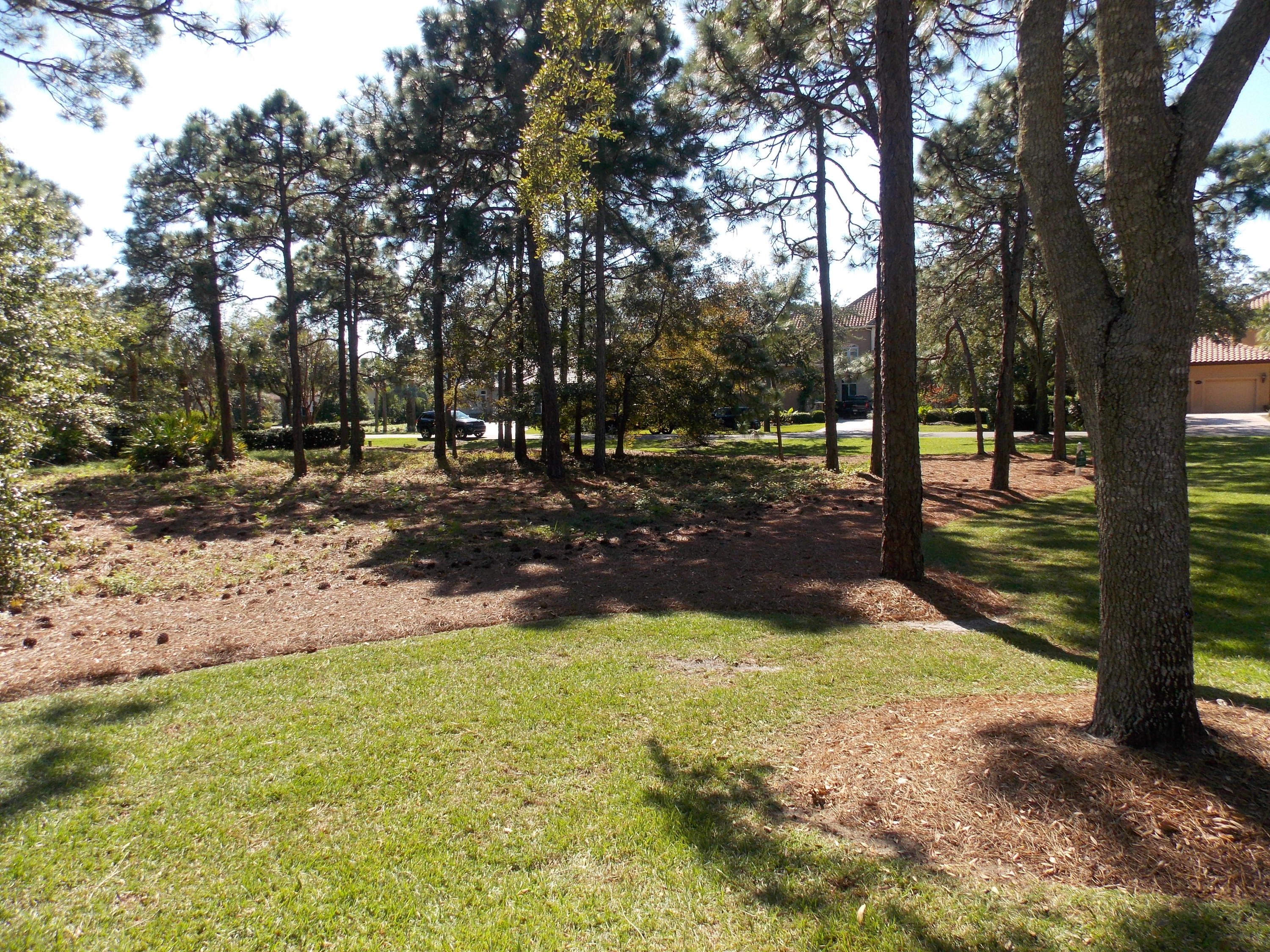 BURNT PINE LANE - Land