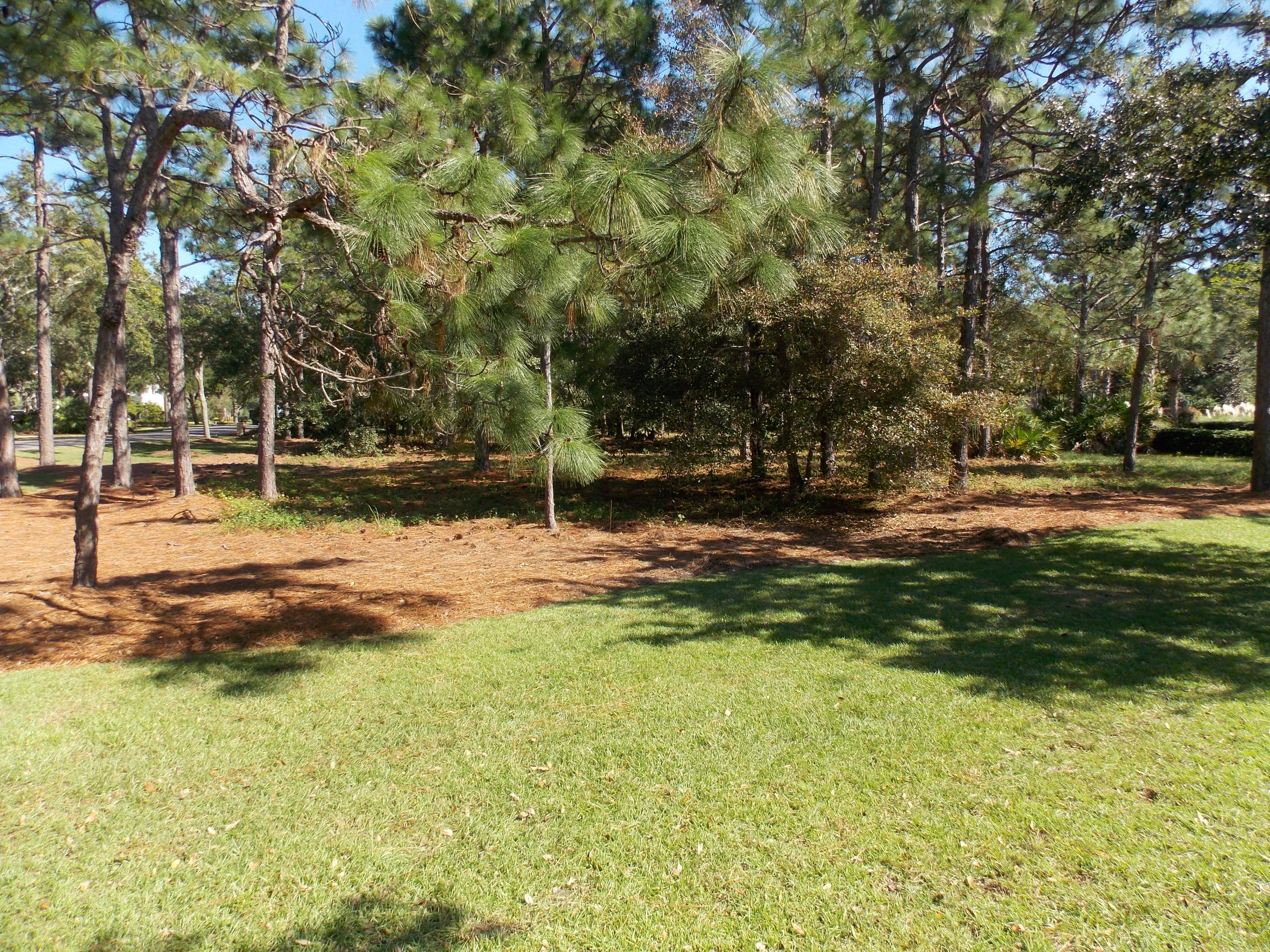 BURNT PINE LANE - Land