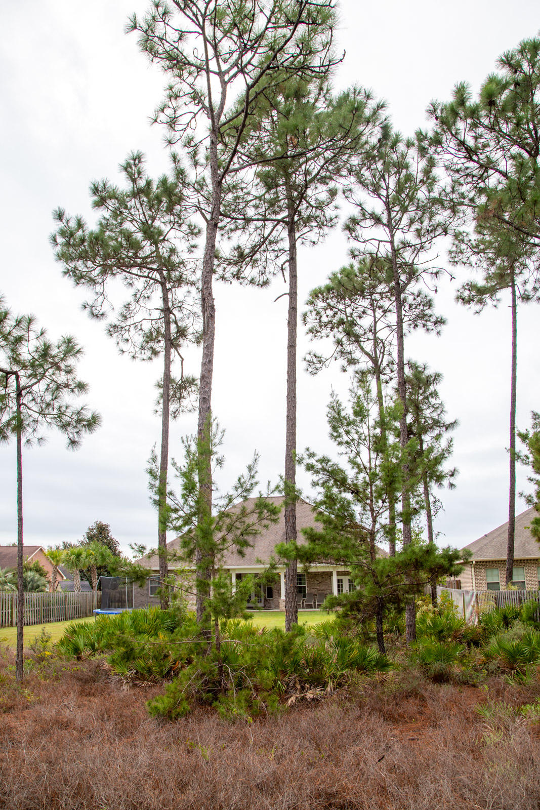 HERITAGE PARK - Residential