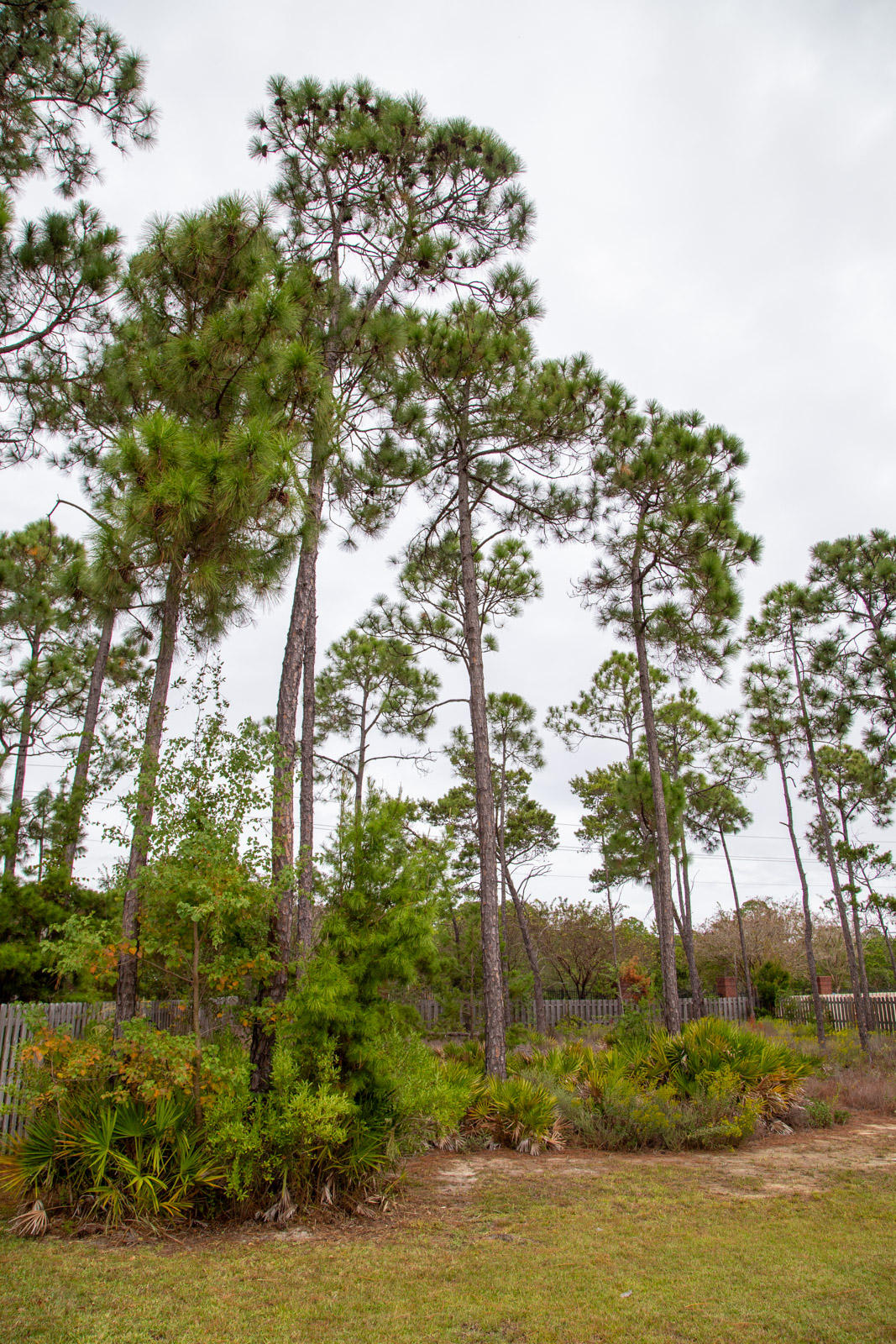 HERITAGE PARK - Residential