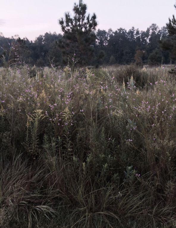 country - Residential