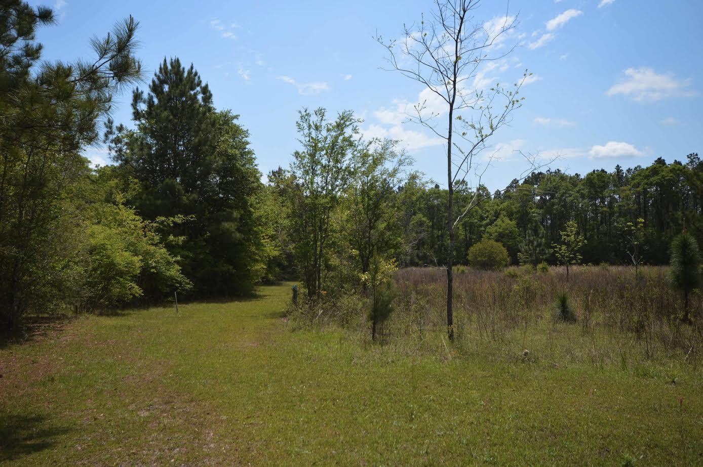 country - Residential