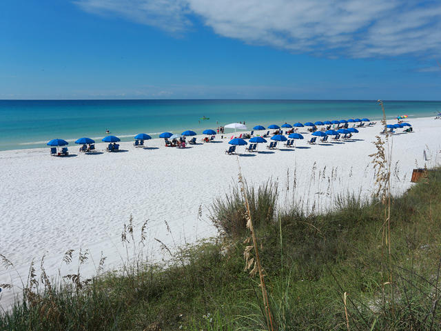 CASSINE VILLAGE - Residential