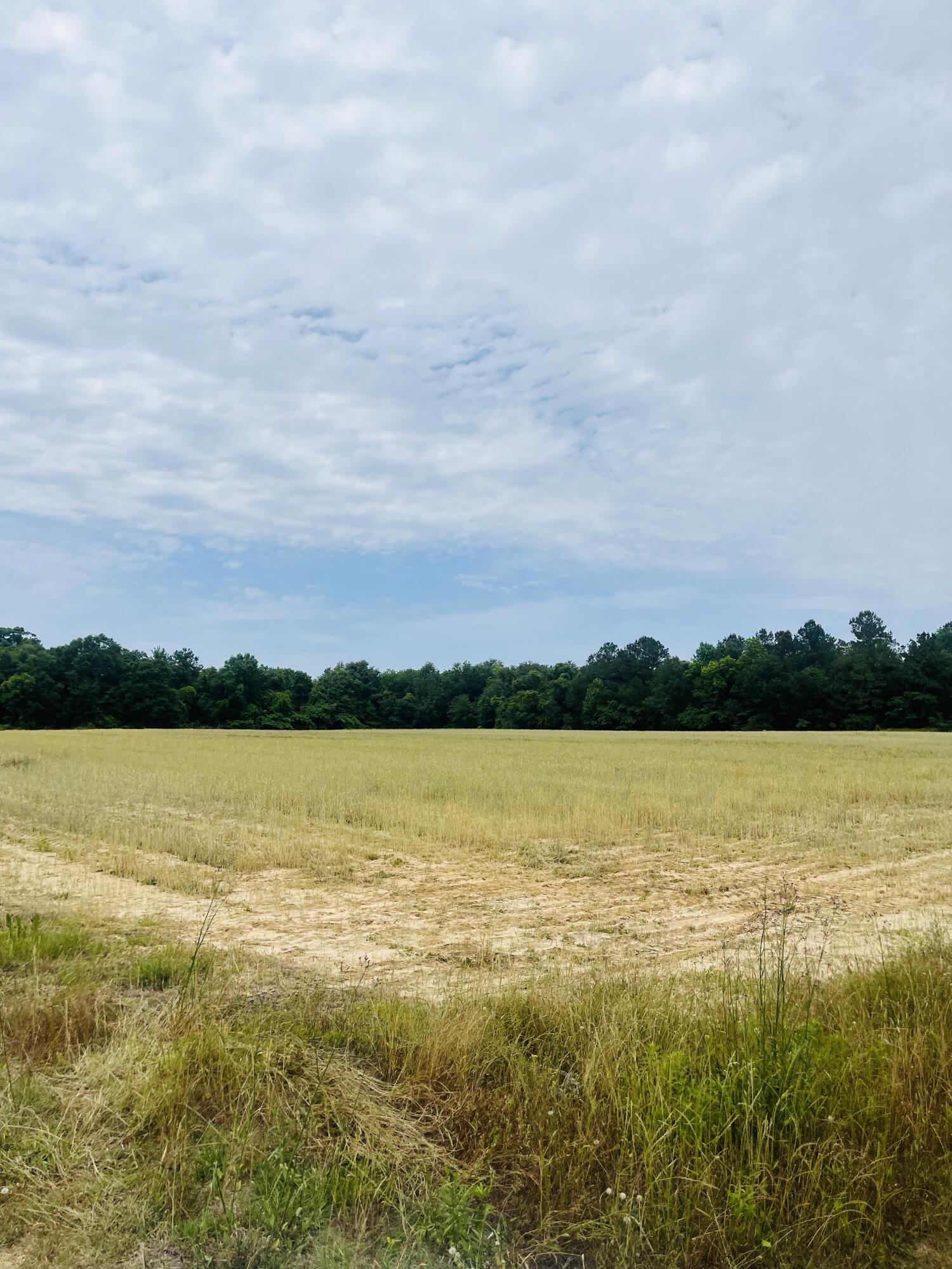 NO RECORDED SUBDIVISION - Farm
