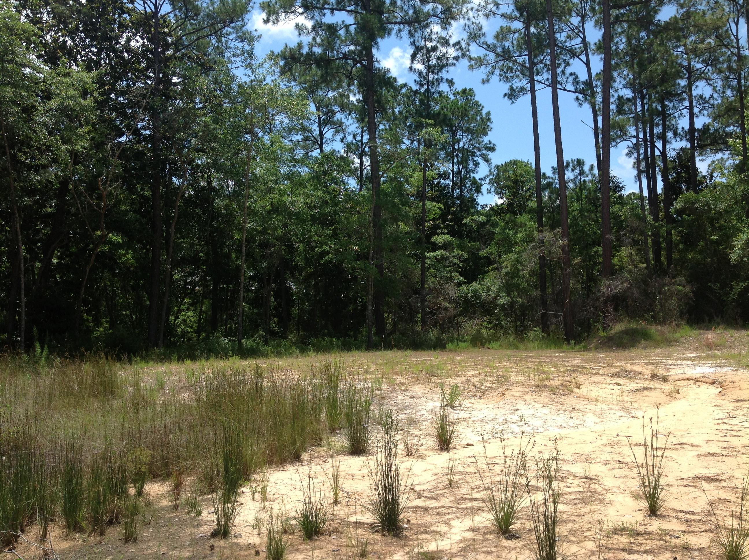 MAGNOLIA BEACH 1ST ADDN - Land