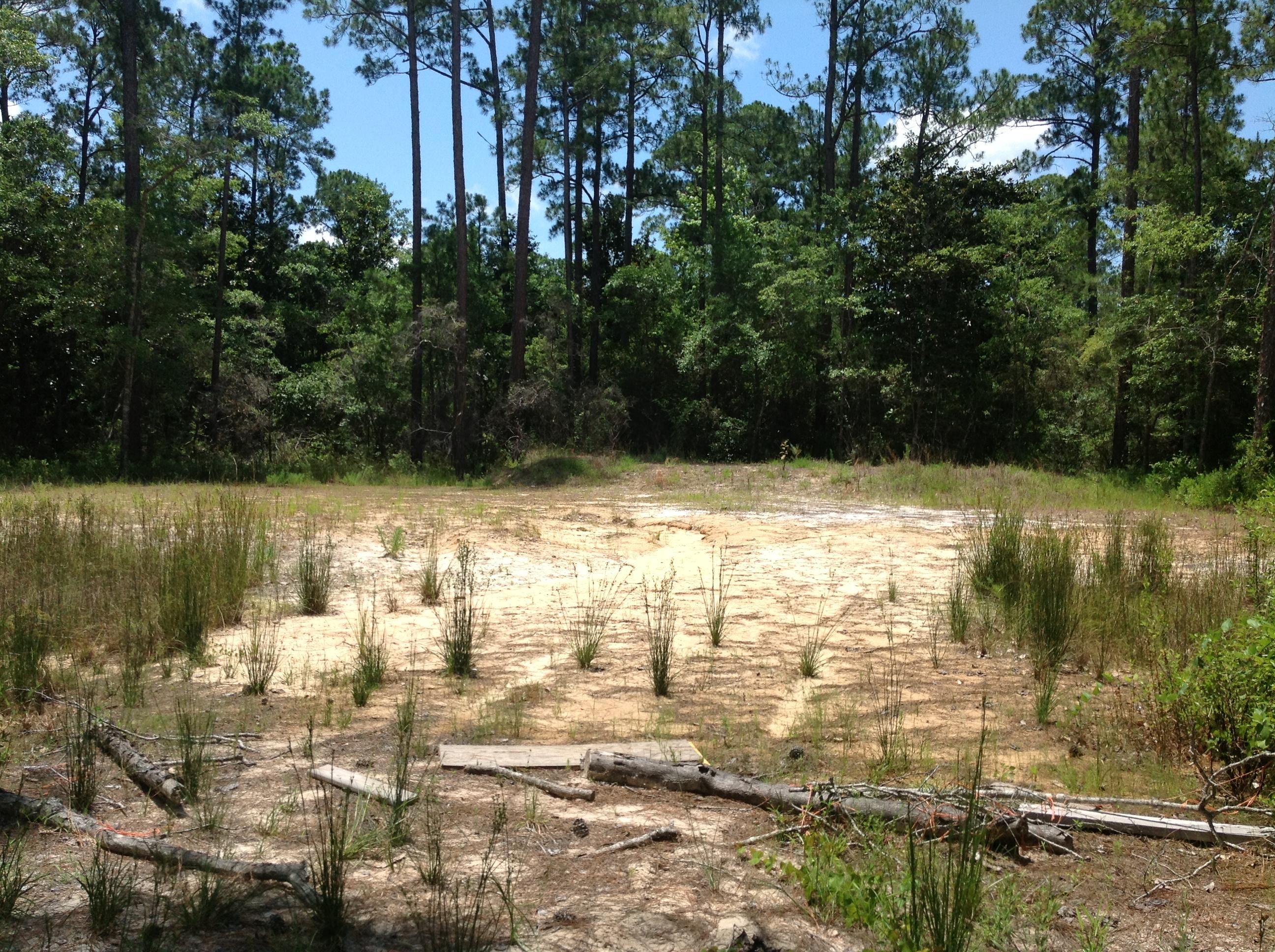 MAGNOLIA BEACH 1ST ADDN - Land