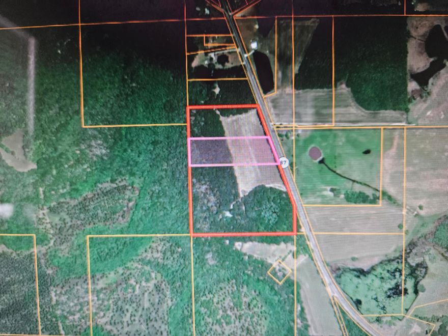 8 acre parcel half pasture and half wooded - Located on S St Hwy 87 south of Samson, AL- Good homesite or small family farm.