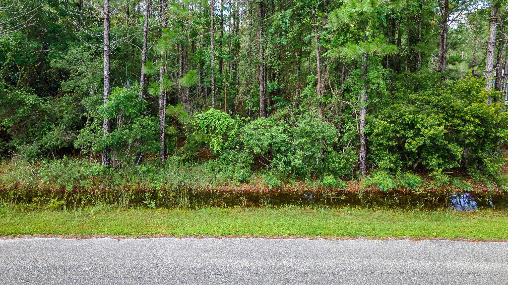 MACK BAYOU PINES S/D - Land