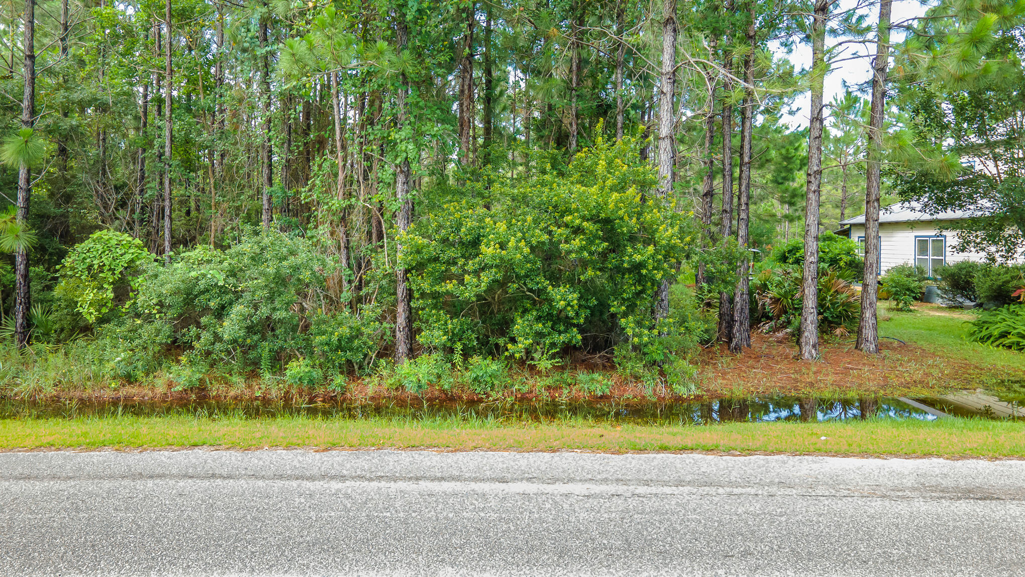 MACK BAYOU PINES S/D - Land