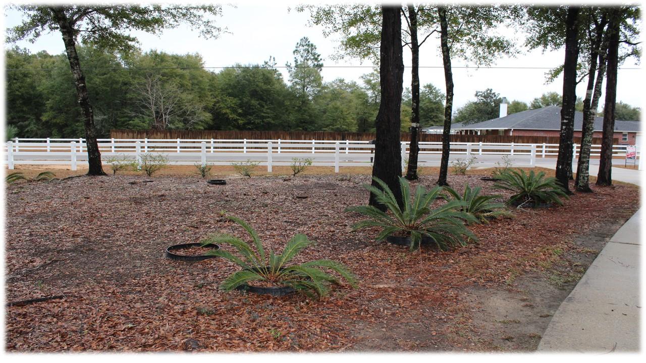 COUNTRYWOOD ESTATES - Residential