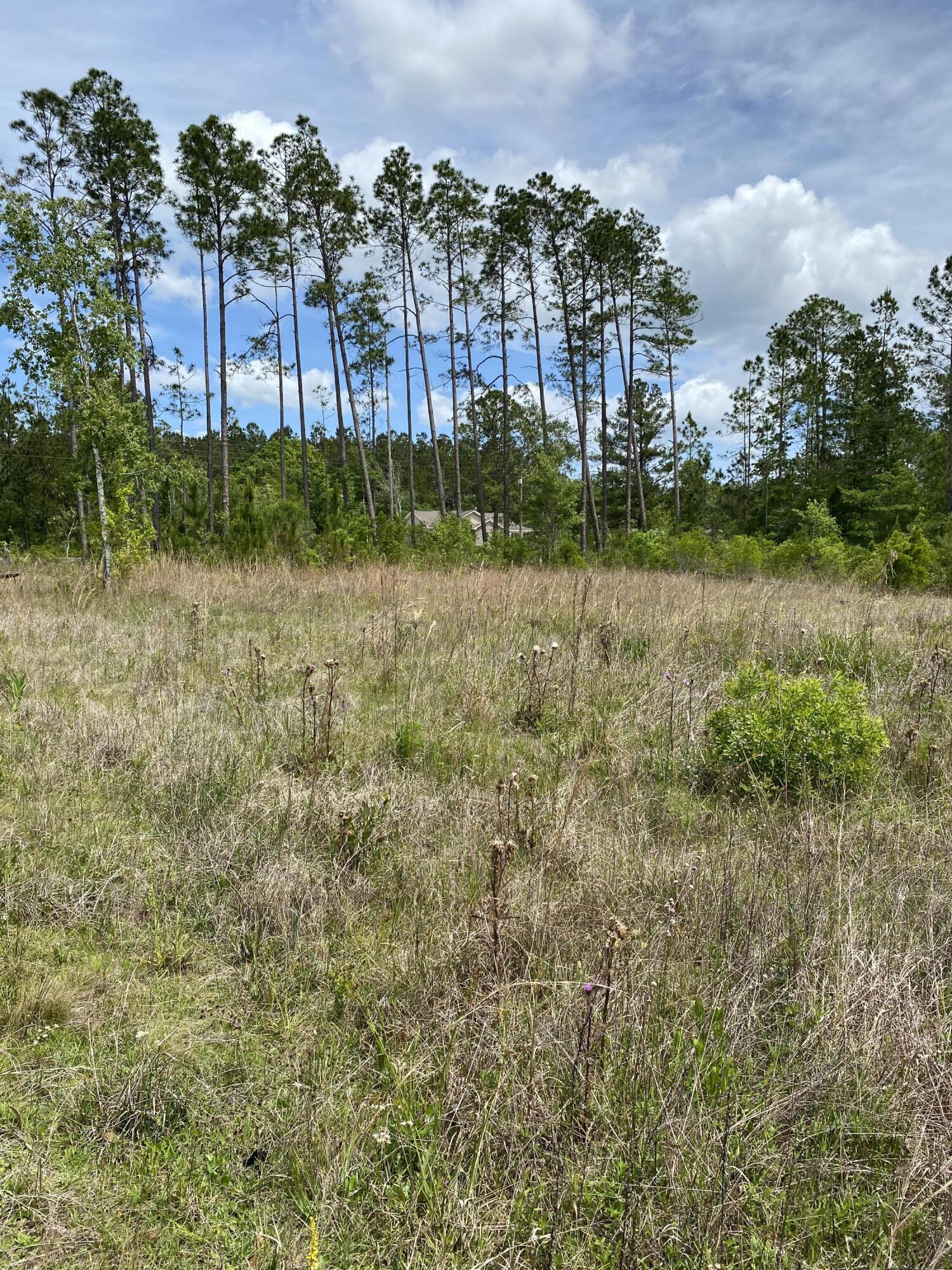 Partially cleared, 1 acre lot, in the Howard Creek Community of Wewahitchka. Conveniently located within a short distance to 2 boat ramps for the Chipola River. Come check out the Howard Creek Country Mart, Fisherman's Landing, pavilion and playground for the kids. The community hosts many activities to include large fishing tournaments, live bands and holiday fireworks. It's less than a 10 minute drive to White City park and public boat launch with access to the Intercoastal Waterway. , The scenic town of Port St. Joe, known for world class fishing, water sports, scalloping, beaches, shopping , and dining, is just 15 miles away. Make this the site of your weekend getaway or a vacation rental. Power pole, septic tank and well will be needed. 6224 Doc Whitfield is the adjoining property.