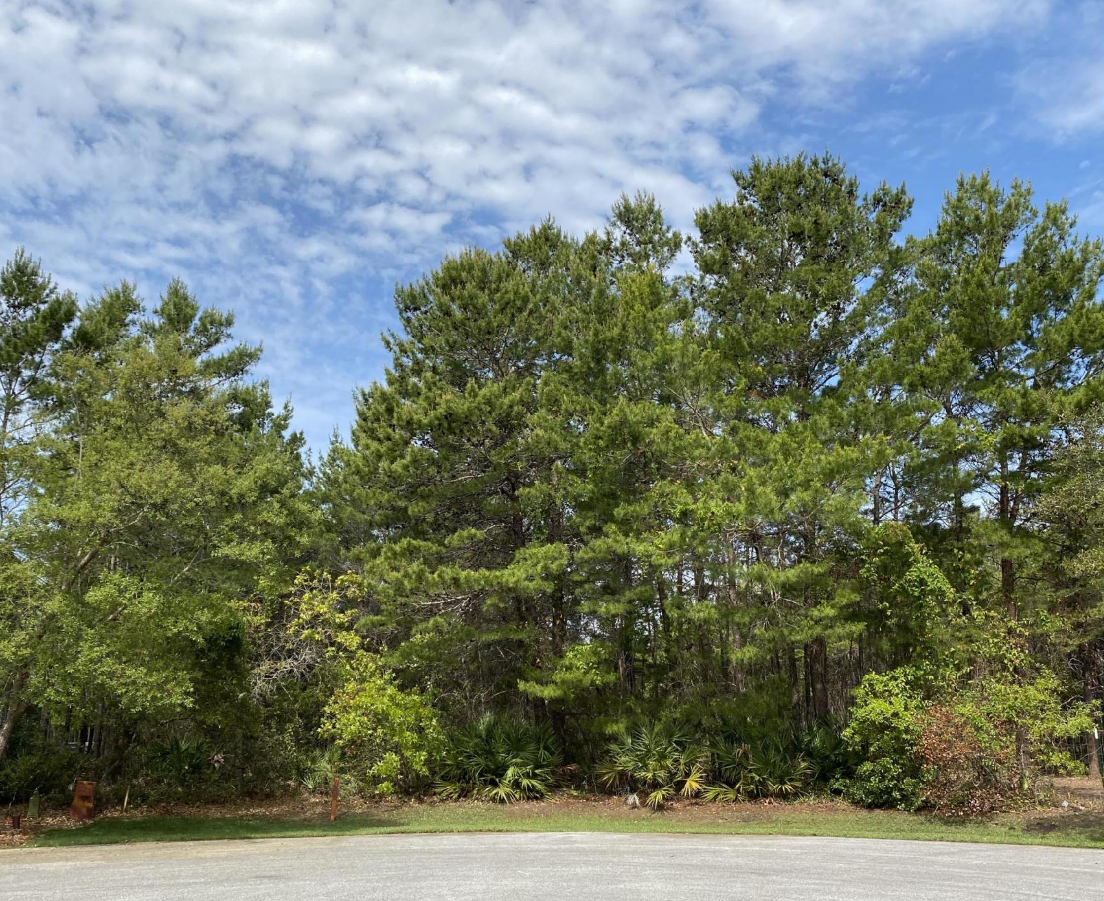 THE LANDING AT CAMP CREEK - Land