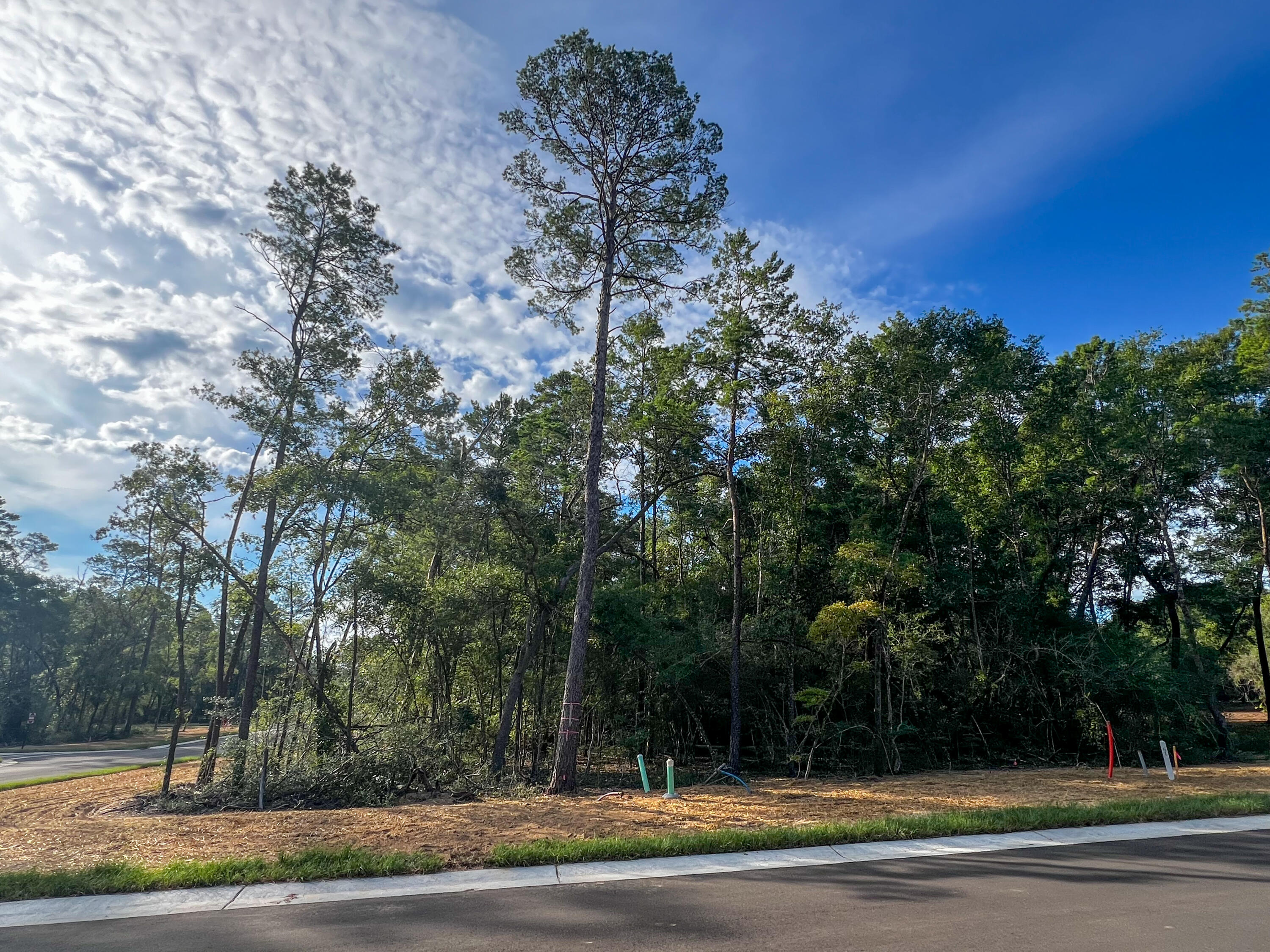 Deer Moss Creek - Land