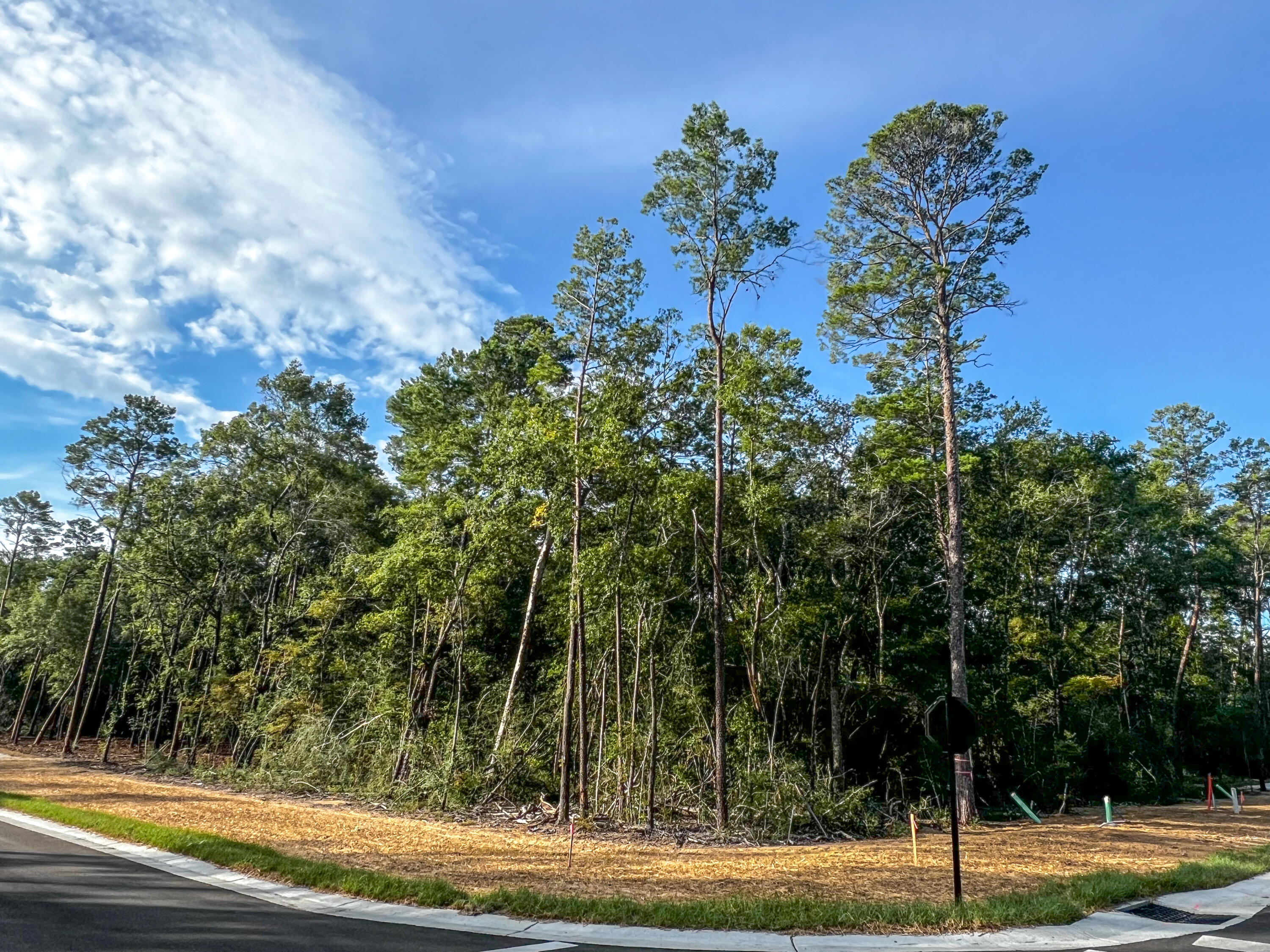 Deer Moss Creek - Land