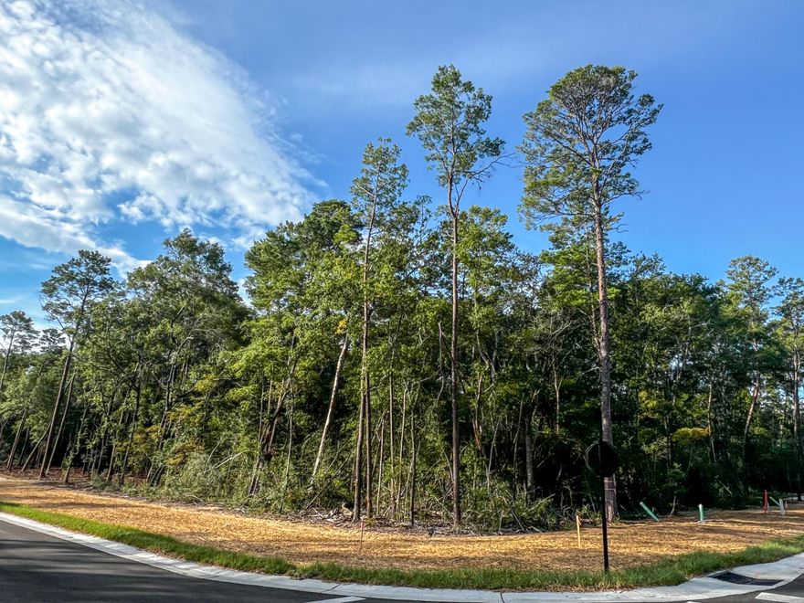 Beautiful lot in the desirable and new Deer Moss Creek Phase 11! Deer Moss Creek(r) is an 1,100- acre, master-planned, mixed-use community in Niceville, FL. Community plans include a nature trail, bike lanes, parks, pools, office and retail space. Sidewalks are 5' wide and home plans must be approved by the Town Architect. Build your dream home in the beautiful Deer Moss Creek community!