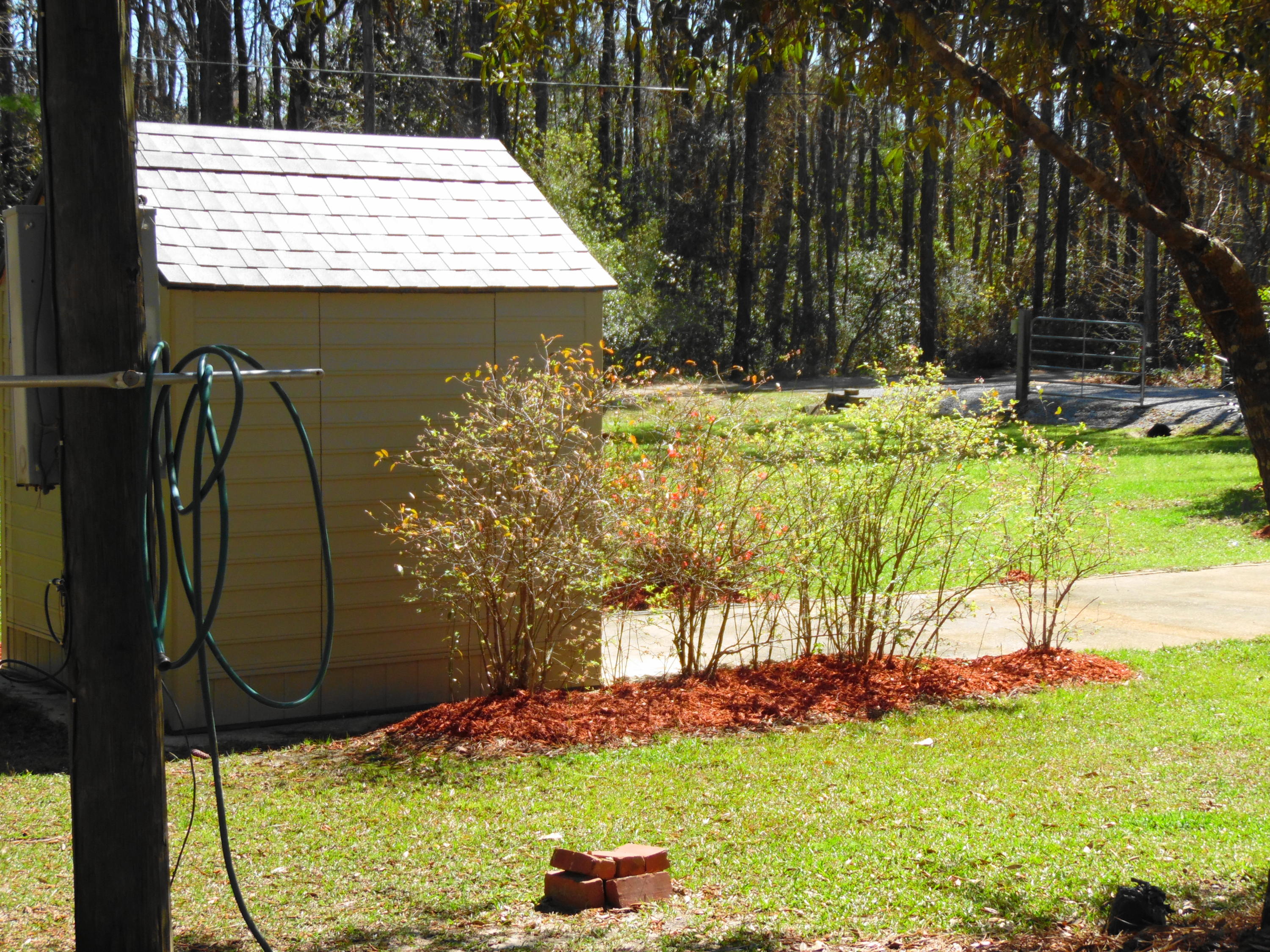 COTTON ESTATES UNREC - Residential