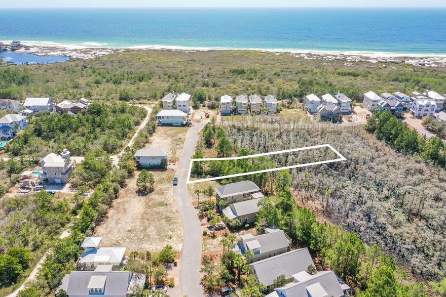 Lot 87 is located in the gated community of Cypress Dunes and backs up to the beautiful Cypress pond! YOU HAVE UNTIL APRIL 2027 TO BUIILD YOUR NEW HOME! This innovative neighborhood hugs the eastern edge of Topsail Hill Nature Preserve. Renowned for its sand dunes, natural habitats, boardwalks and more than three miles of white sandy beach, Topsail Hill is so named for the dunes that look a bit like topsails. It's a desirable blend of resort, nature, security, luxury and amenities found in fine resorts. In close proximity to shopping, dining and