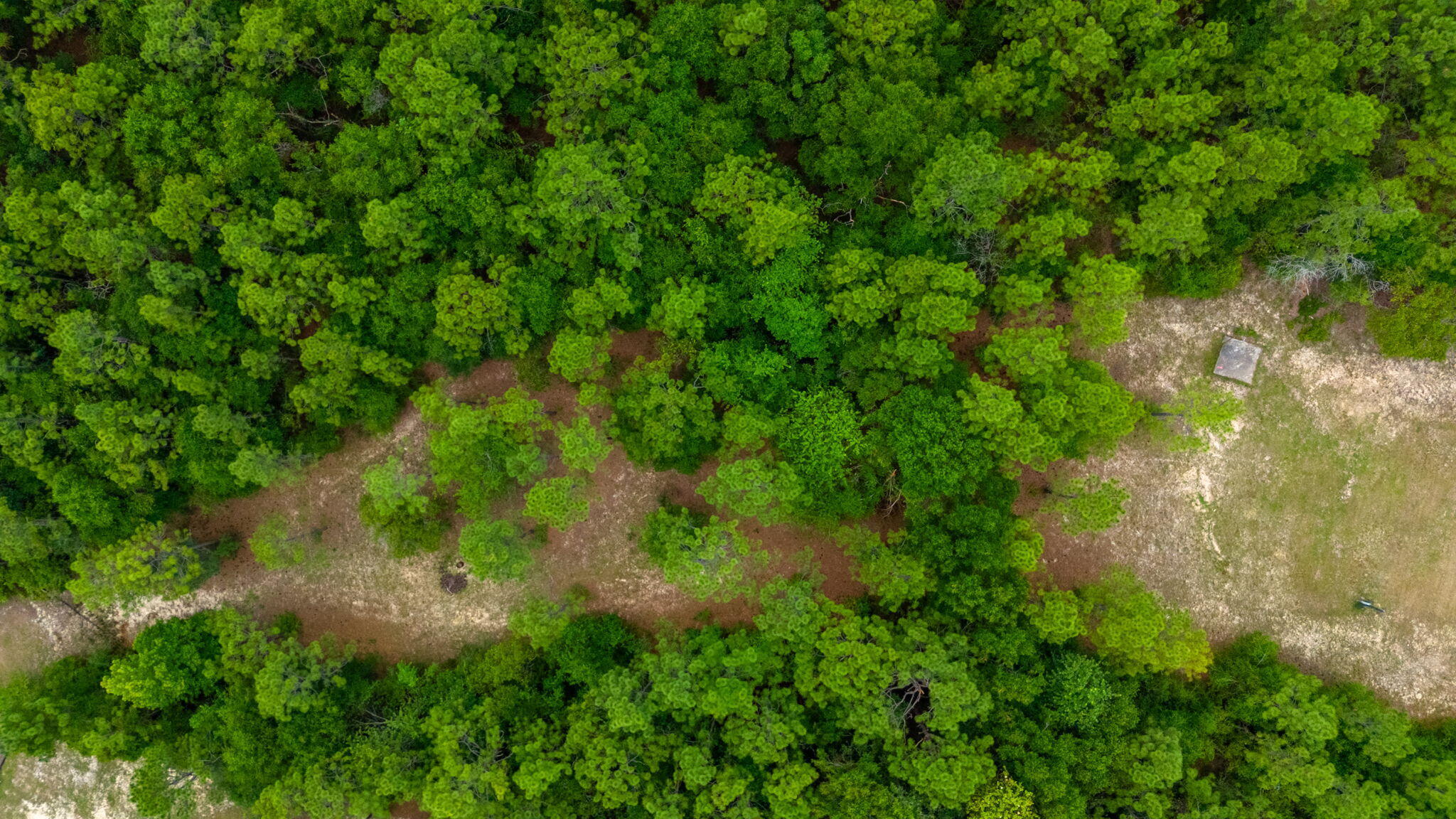 KENNEDY LAKE (UNRECORDED) - Land