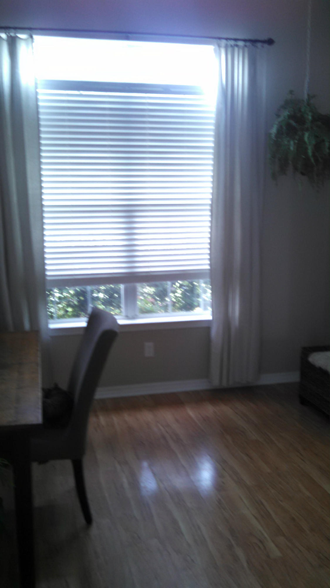 SANDY RIDGE ESTATES - Residential