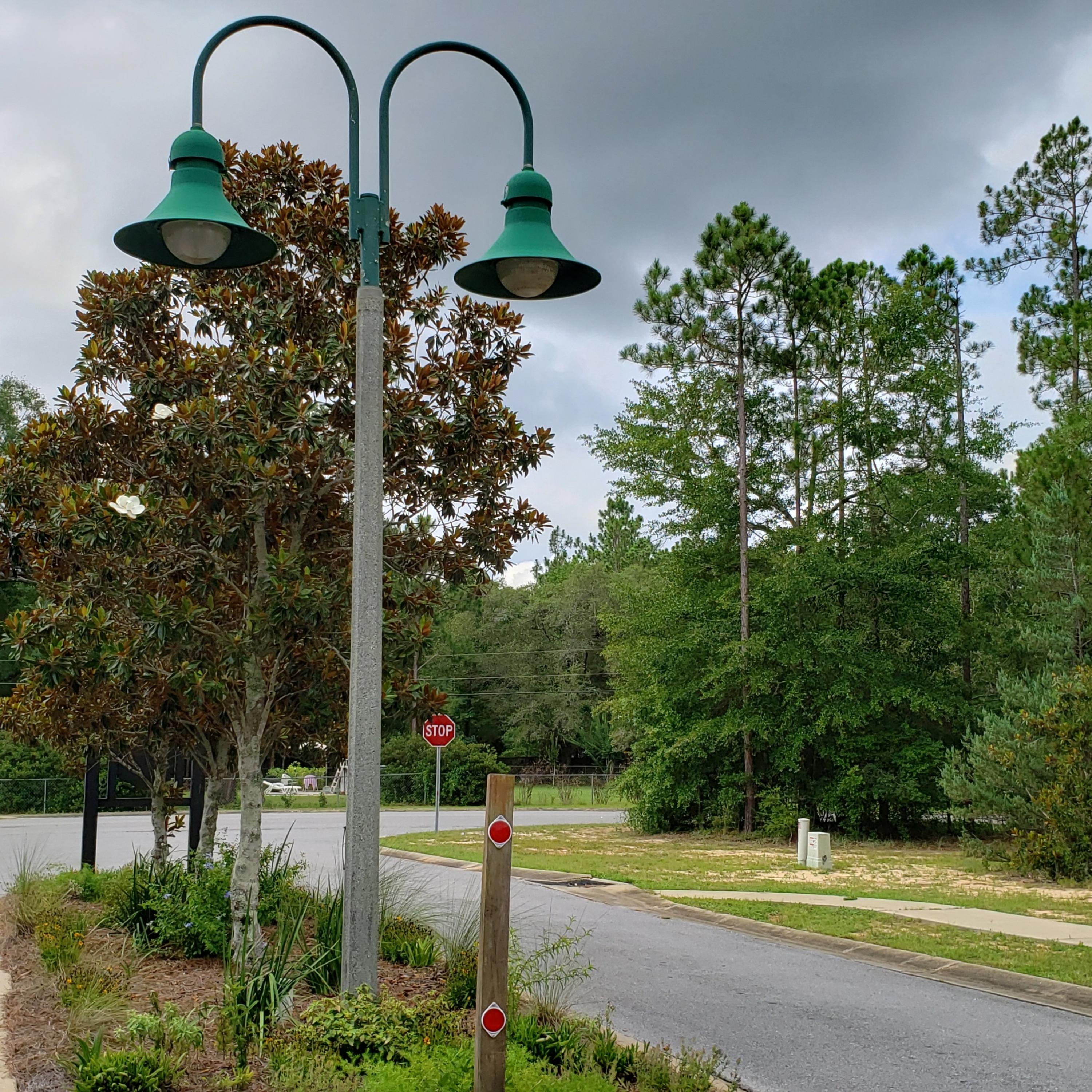 CAMELLIA COVE - Residential